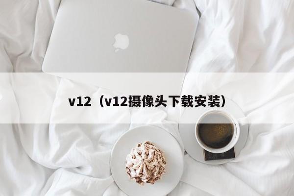 v12（v12摄像头下载安装）-图1