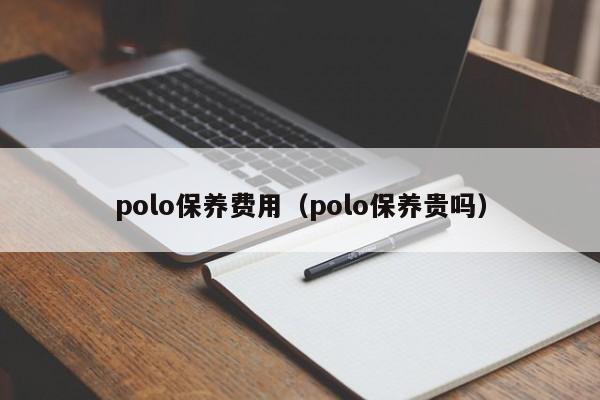 polo保养费用（polo保养贵吗）-图1