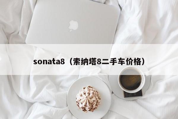 sonata8（索纳塔8二手车价格）-图1