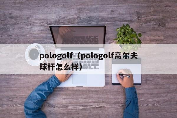 pologolf（pologolf高尔夫球杆怎么样）-图1