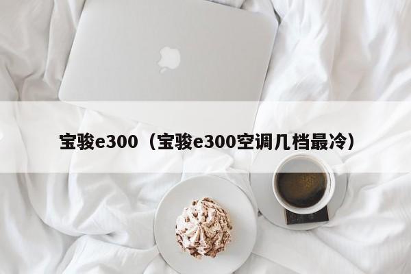 宝骏e300（宝骏e300空调几档最冷）-图1